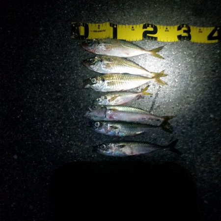 ファミリーフィッシング　GAME